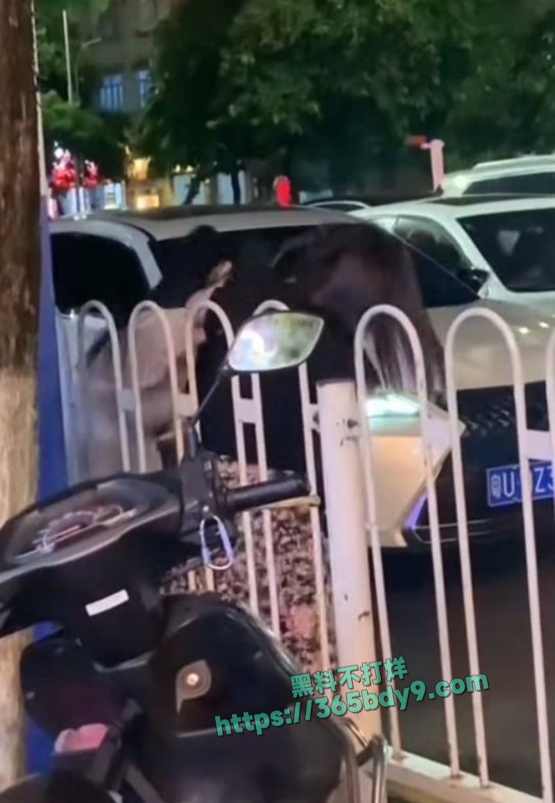 潮州街头抓小三4