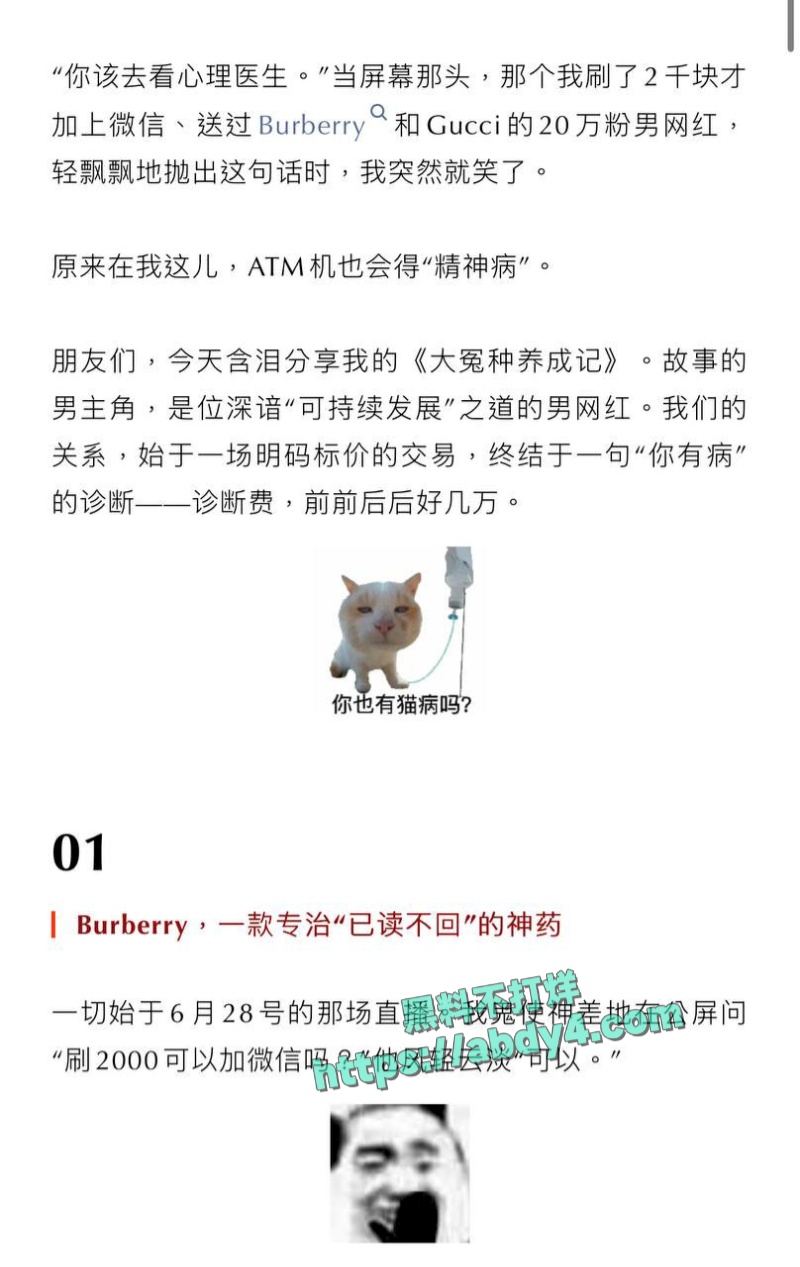 四川高颜值网红npc王晨软饭硬吃 3