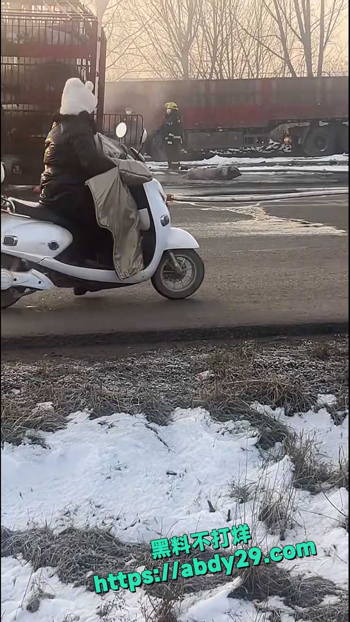 河南宝丰拉猪车高速起火 11