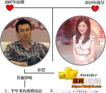 王微8