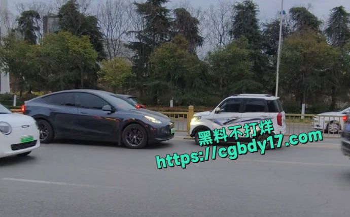 老头乐逆行老人下车给特斯拉车主一顿骂5