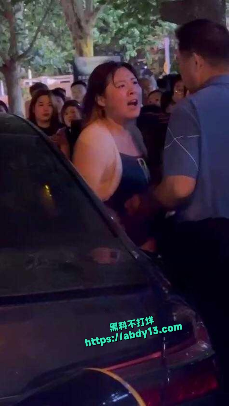 山东临沂奥迪A6抵押抓奸事件 1