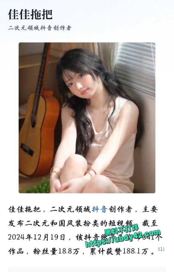 佳佳拖把 1