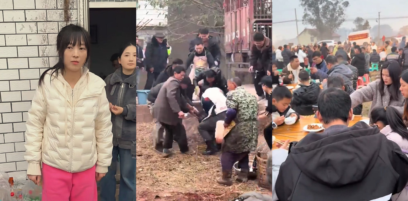 重庆合川呆呆杀猪事件燃爆网络 堪称2026最会闯祸的人 每天三千人到家吃刨汤