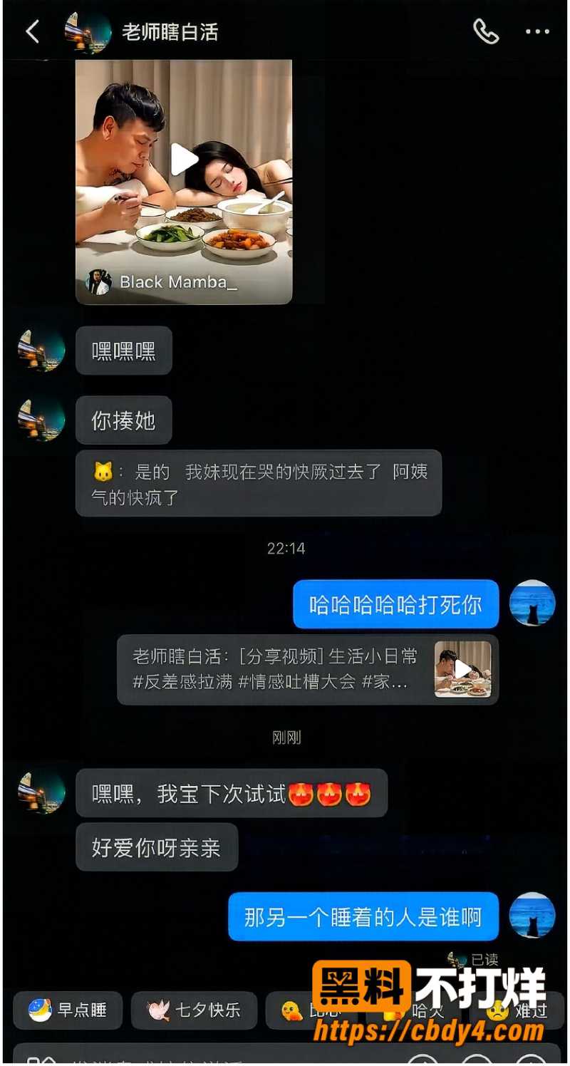 科大讯飞韩煜尘和朱倩聊天记录 4