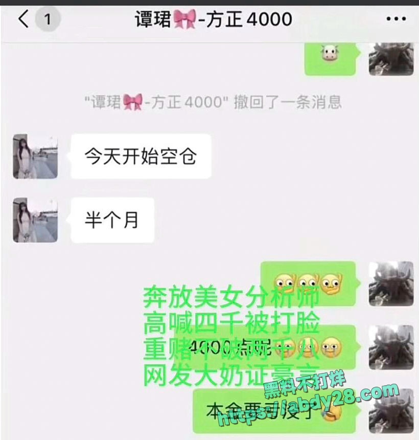 4000点分析师谭珺爆料怀了广发基金杨冬孩子 23