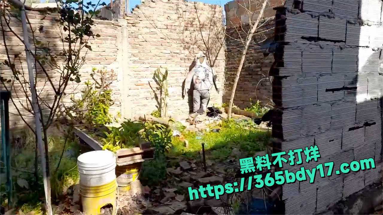 阿根廷布宜诺斯艾利斯南郊发生一起震惊全国的骇人犯罪 3