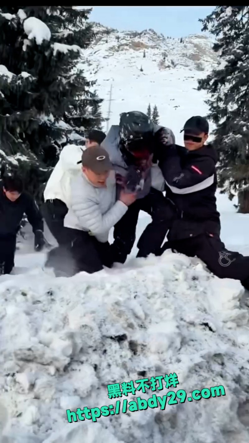 新疆可可托海发生雪豹伤人事件 6