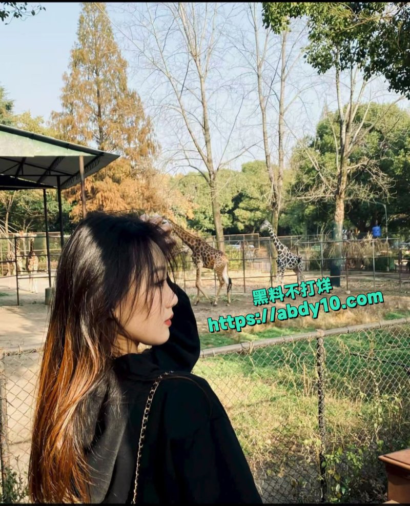 陕西反差婊杨子诺4