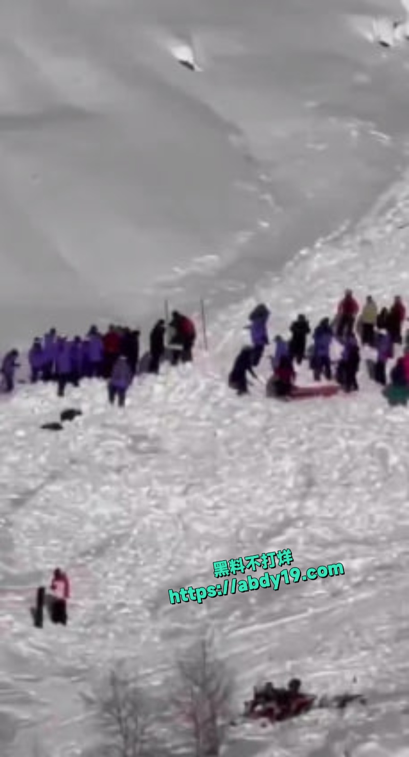 疆喀纳斯吉克普林滑雪场雪崩 4