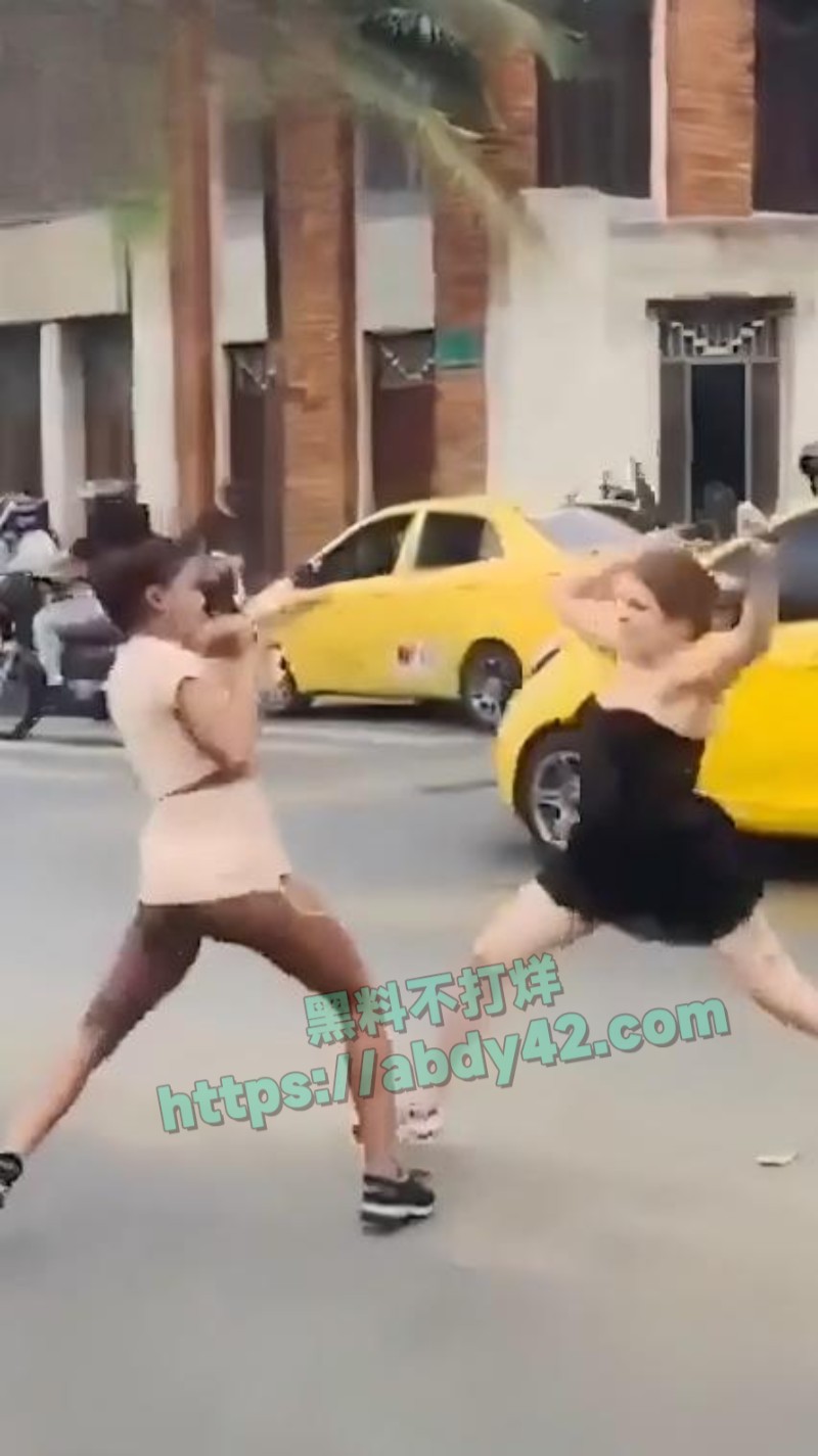 哥伦比亚市中心两女持刀搏斗5