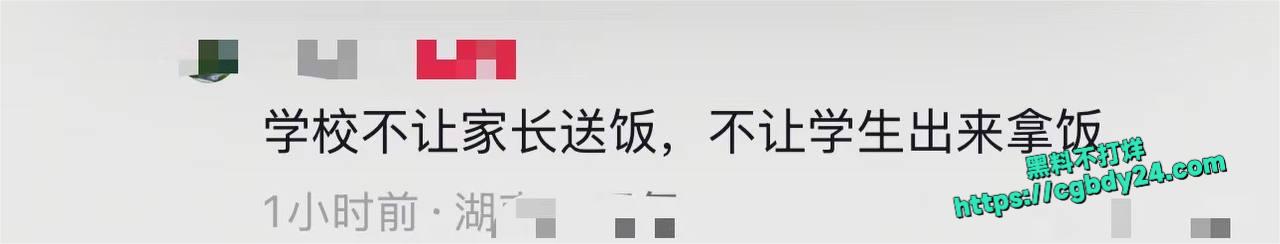 湖南益阳