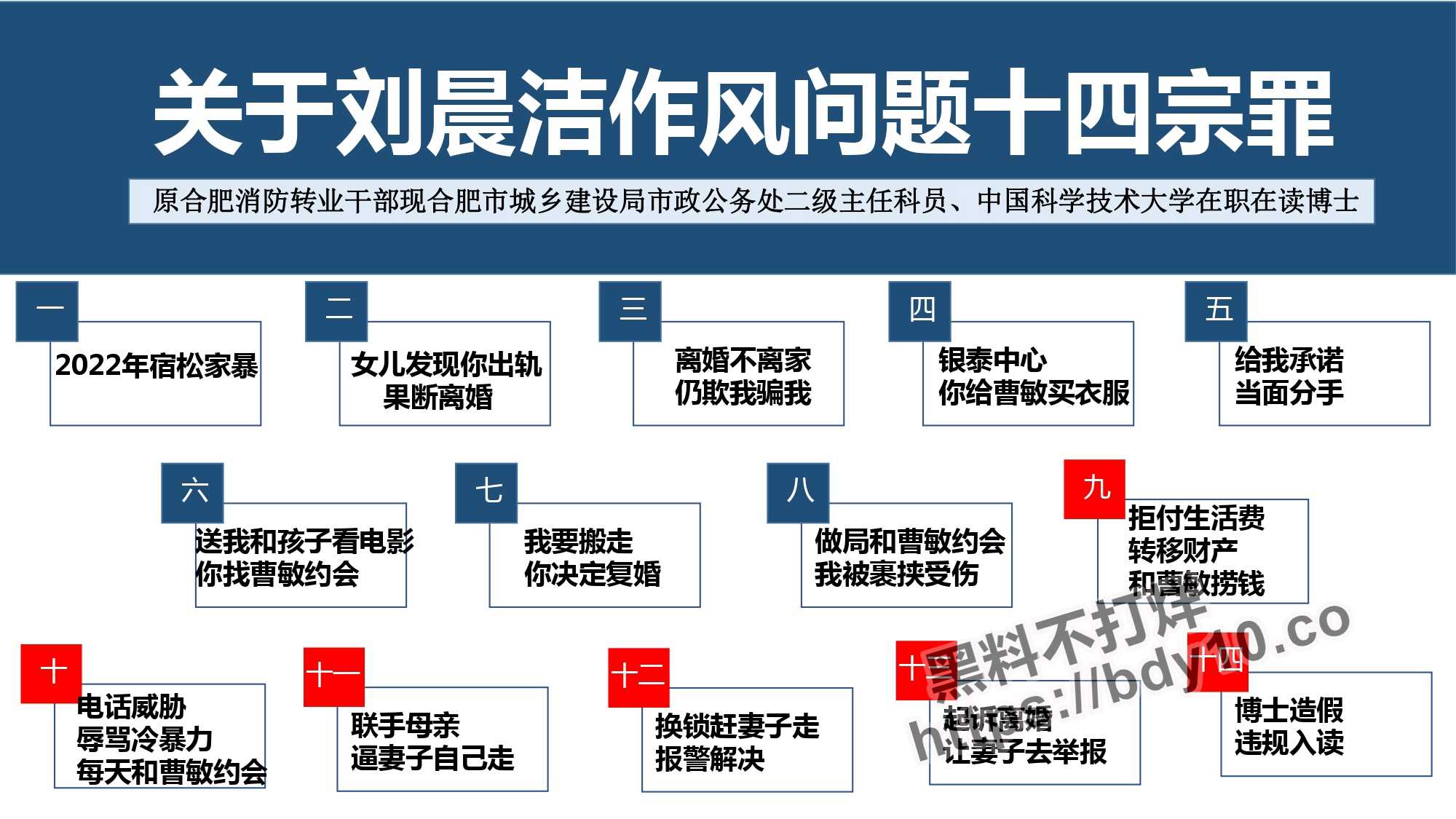 刘晨洁生活问题十四宗罪.jpg