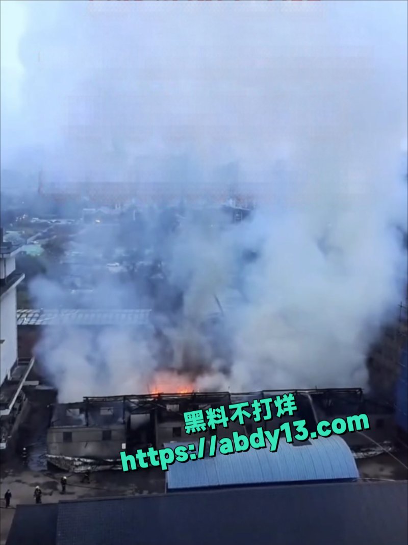 成都八里庄地铁站口突发大火5