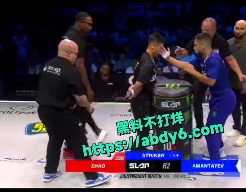 中国通背拳传人赵鸿刚参加UFC扇耳光大赛被对手KO8