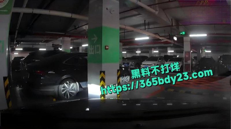 奥特莱斯停车场视频车主碰到阿姨人肉占车位7