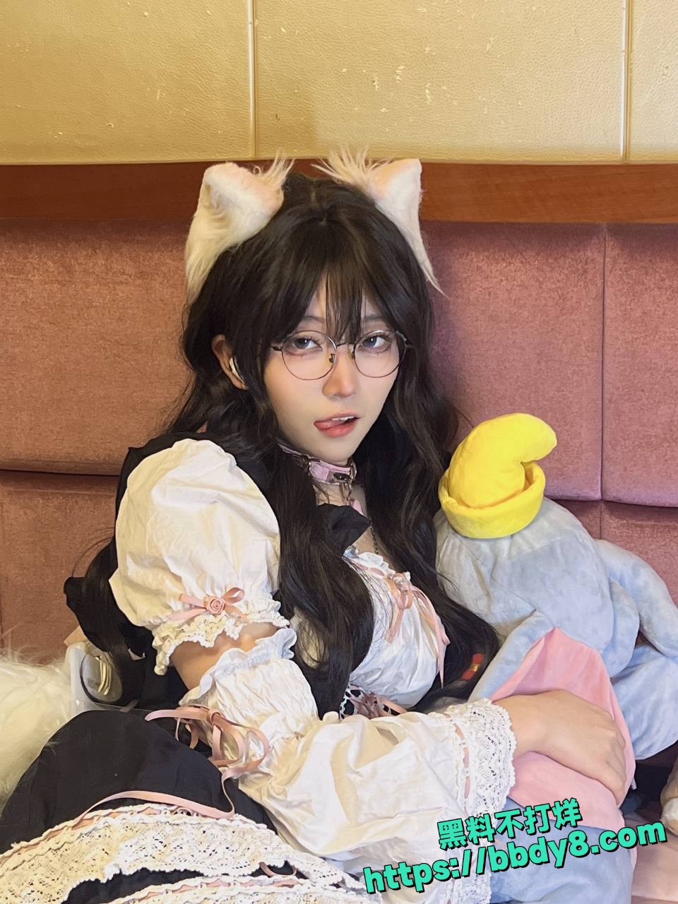 御姐折耳猫9