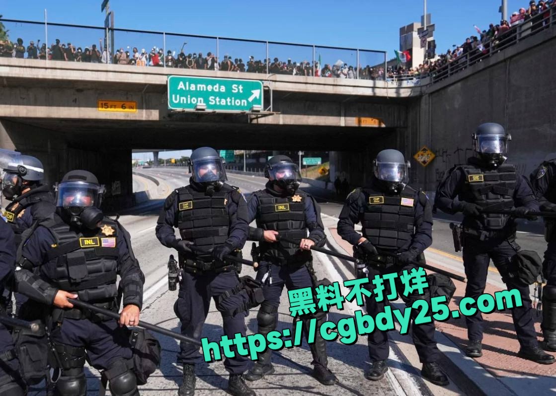 美国洛杉矶大暴乱多名中国留学生被洗脑乱入被白左当炮灰利用9