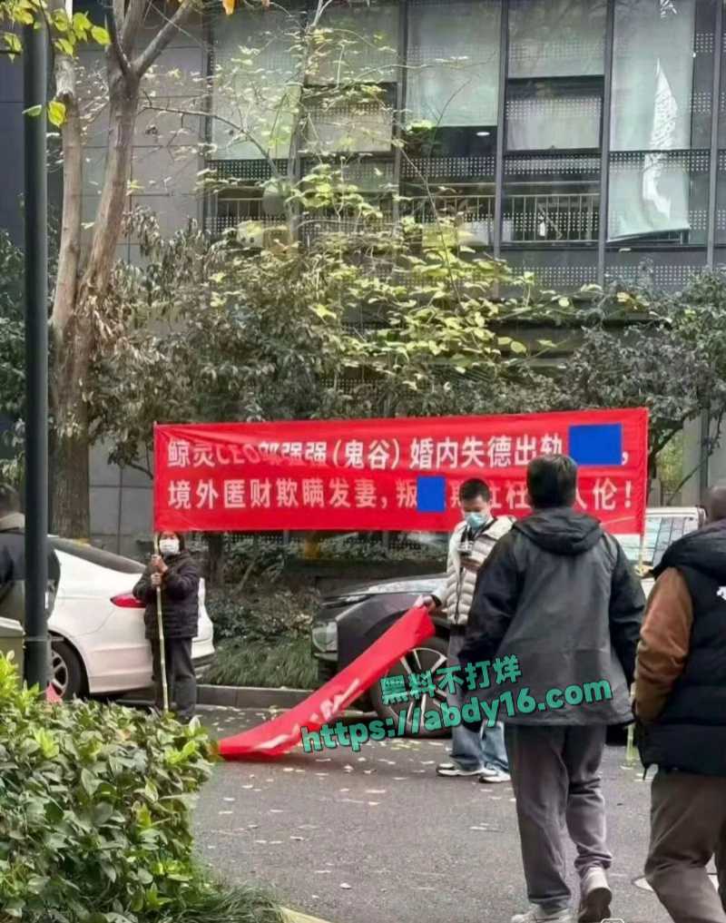 鲸灵集团CEO邬强强被妻子拉横幅曝出轨 9