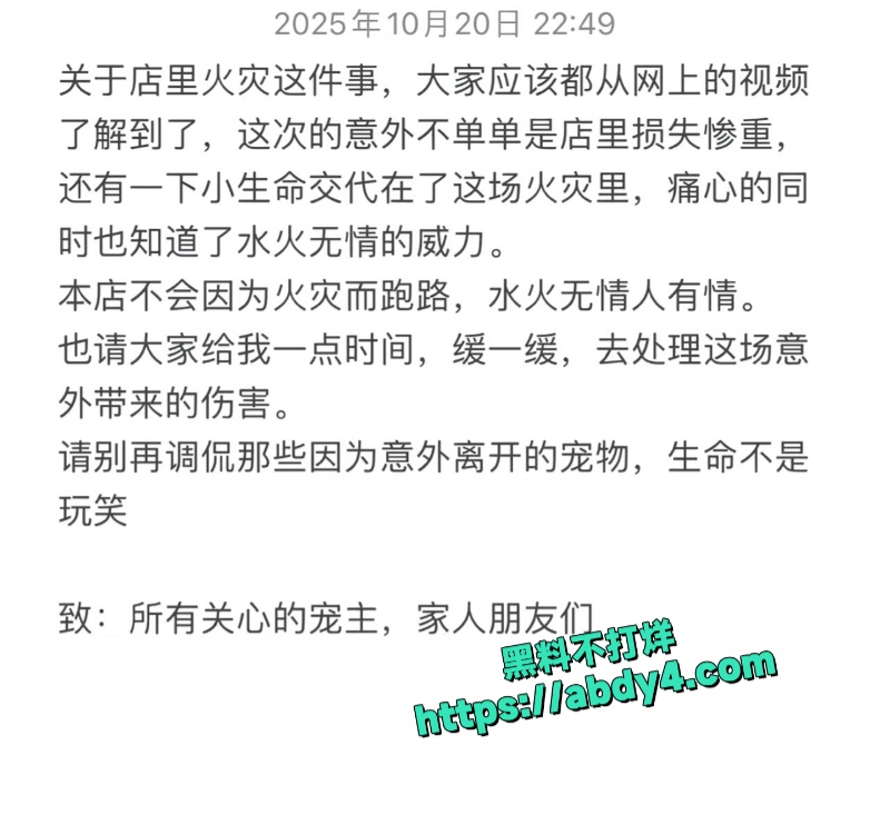 广东揭阳普宁流沙大道宠物店突发火灾 1