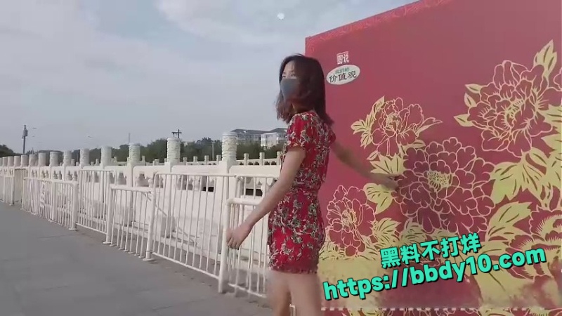 北京天使Ariel 9