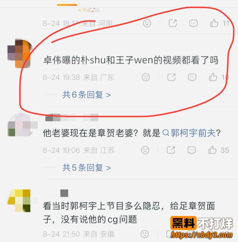 歌手朴树出轨演员王子文42