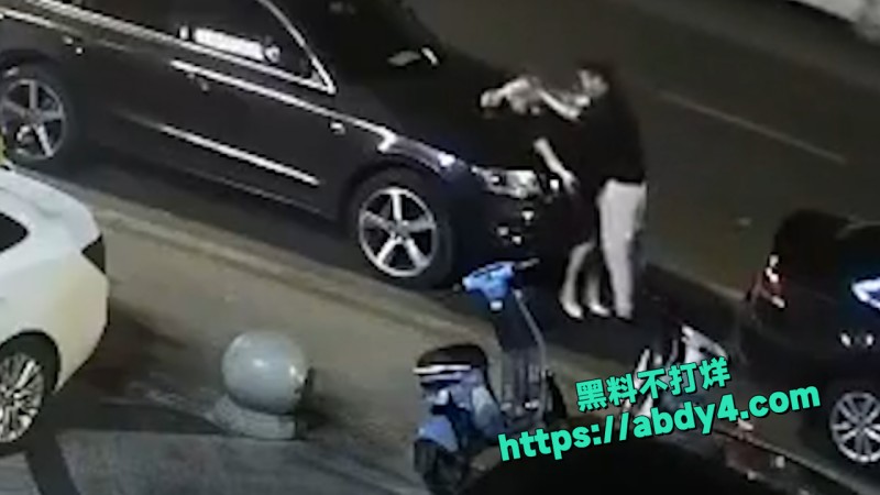 野鸳鸯精虫上脑 路边车旁激情啪啪  8