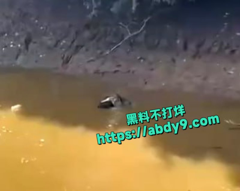 男子河中游泳惊遇鳄鱼袭击2