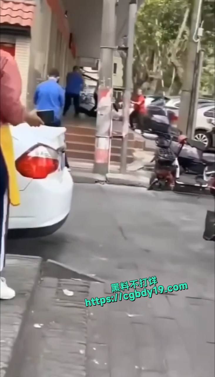 广东省湛江市霞山区爱国街道办金晓华副书记被访民用锄头砸头场毙命2