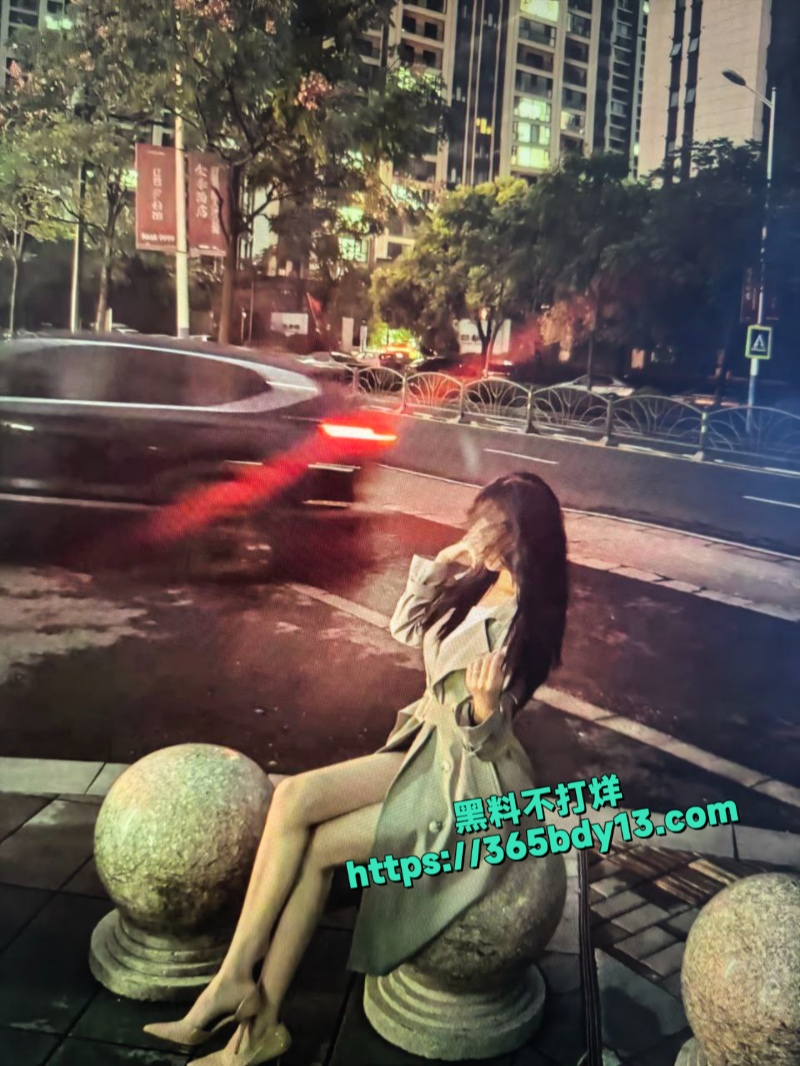 南京理工大学刘莎1