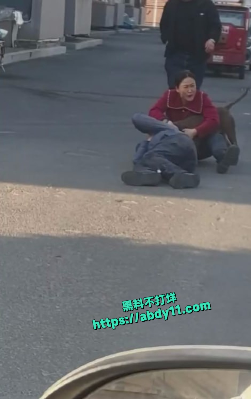 大爷被街头恶狗拼命撕咬不松口 6
