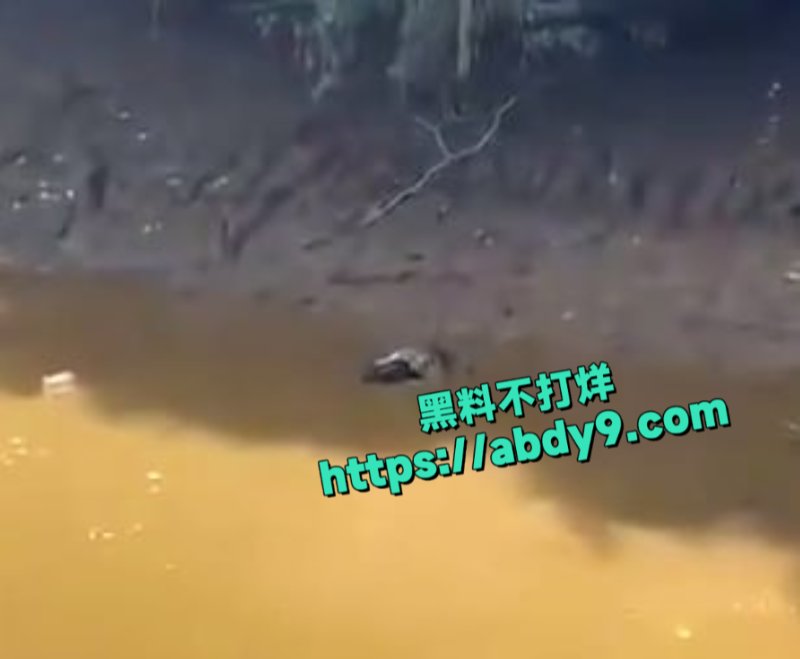 男子河中游泳惊遇鳄鱼袭击1