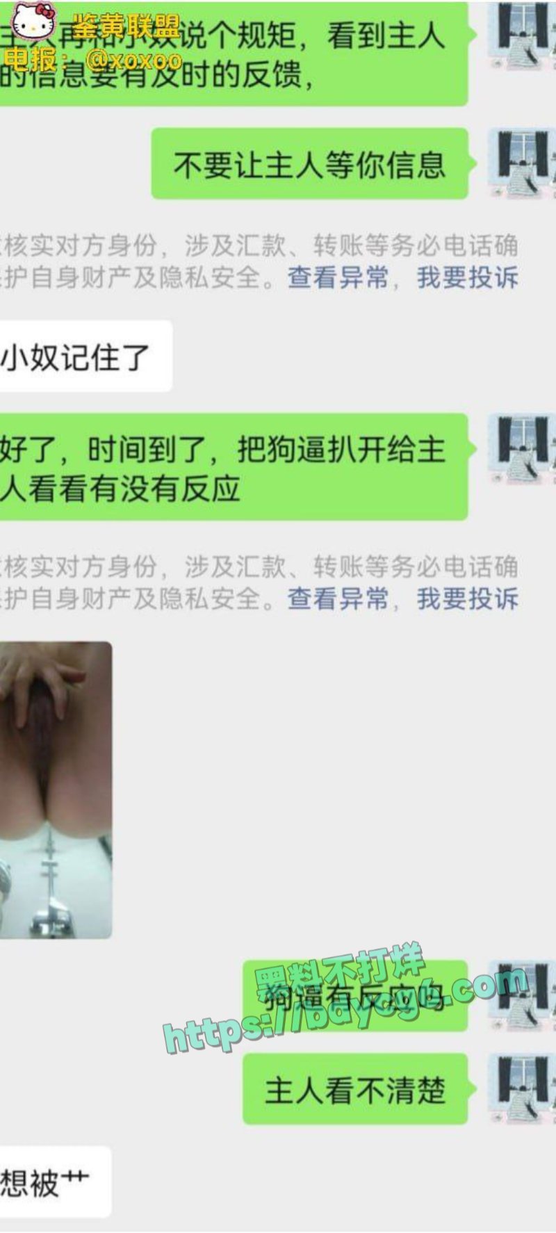 网调极品少女5