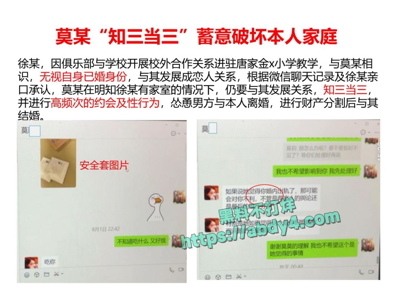 珠海金凤小学教师莫莉不雅视频泄密 5