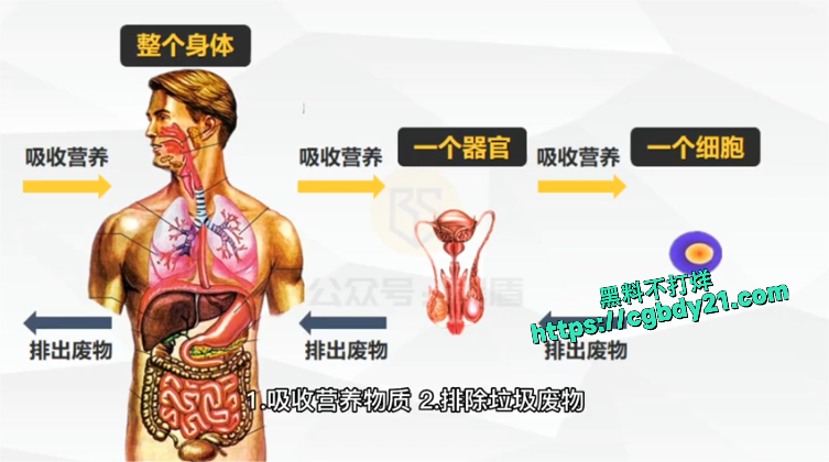 硬核十增6