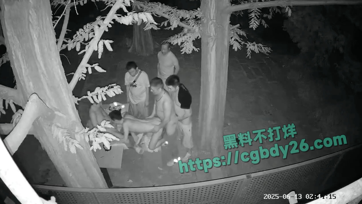 成都男同公园做爱 7
