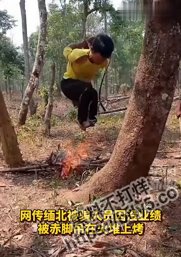 1 (1).jpg