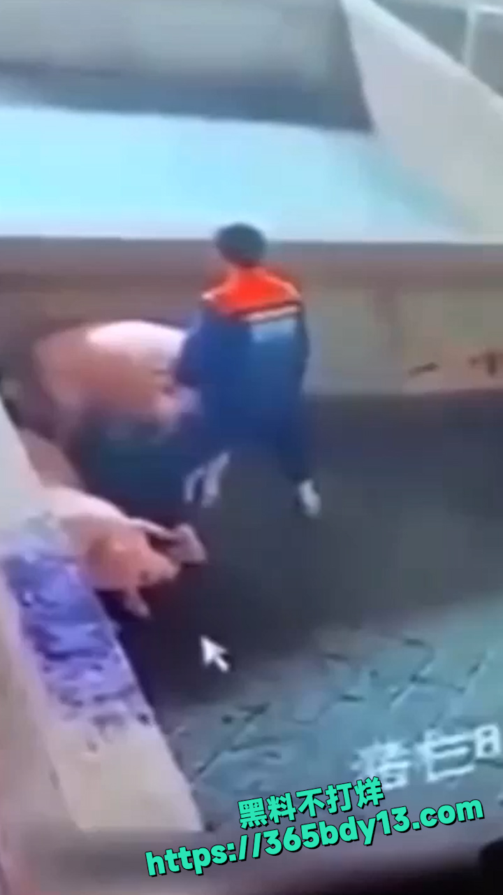 孤独三五年母狗赛貂蝉 1
