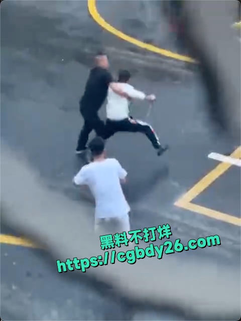两男子街上互砍1