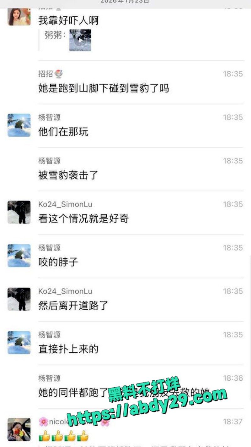 新疆可可托海发生雪豹伤人事件 13