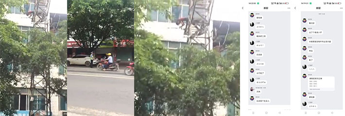 牛人，真他妈傻逼，爬电线杆求爱，焦了吧？哈哈哈