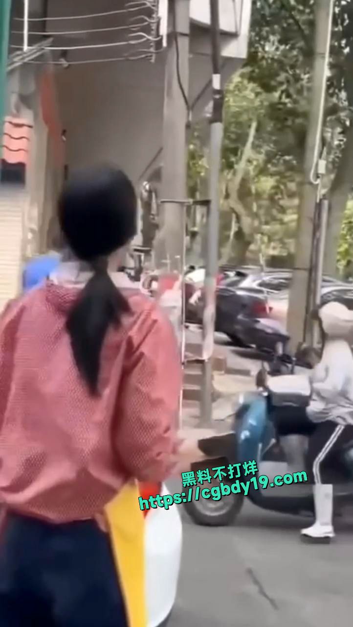 广东省湛江市霞山区爱国街道办金晓华副书记被访民用锄头砸头场毙命1