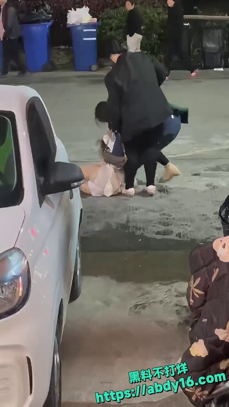 原配街头暴打小三撕衣6