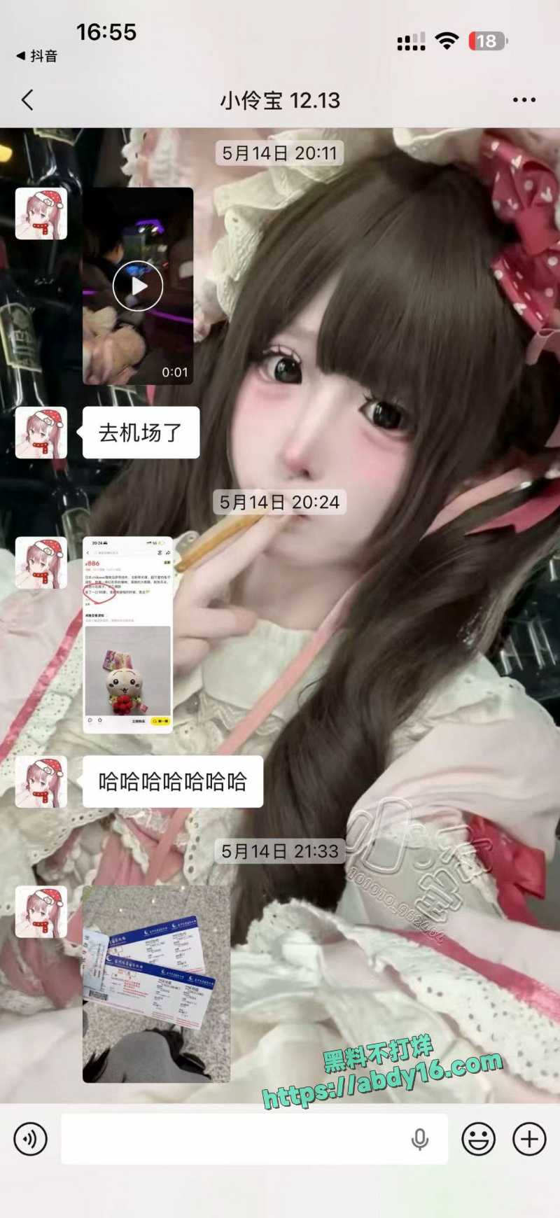 小伶宝和绿毛龟撕逼 14