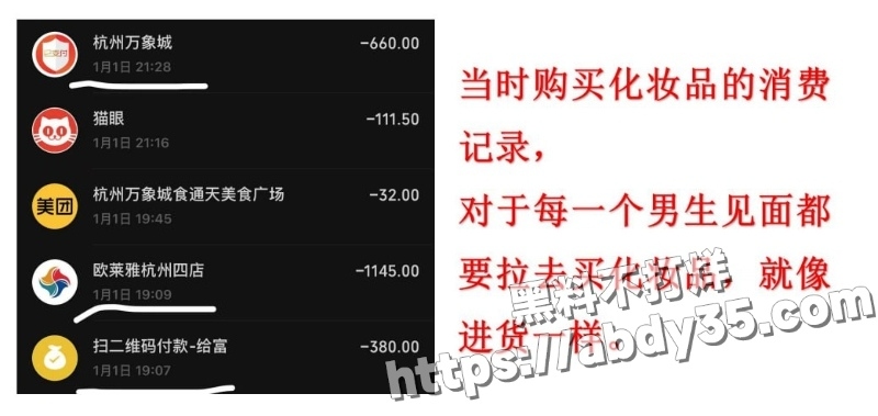 澳洲留学生陈某某脚踏两船捞金实录10