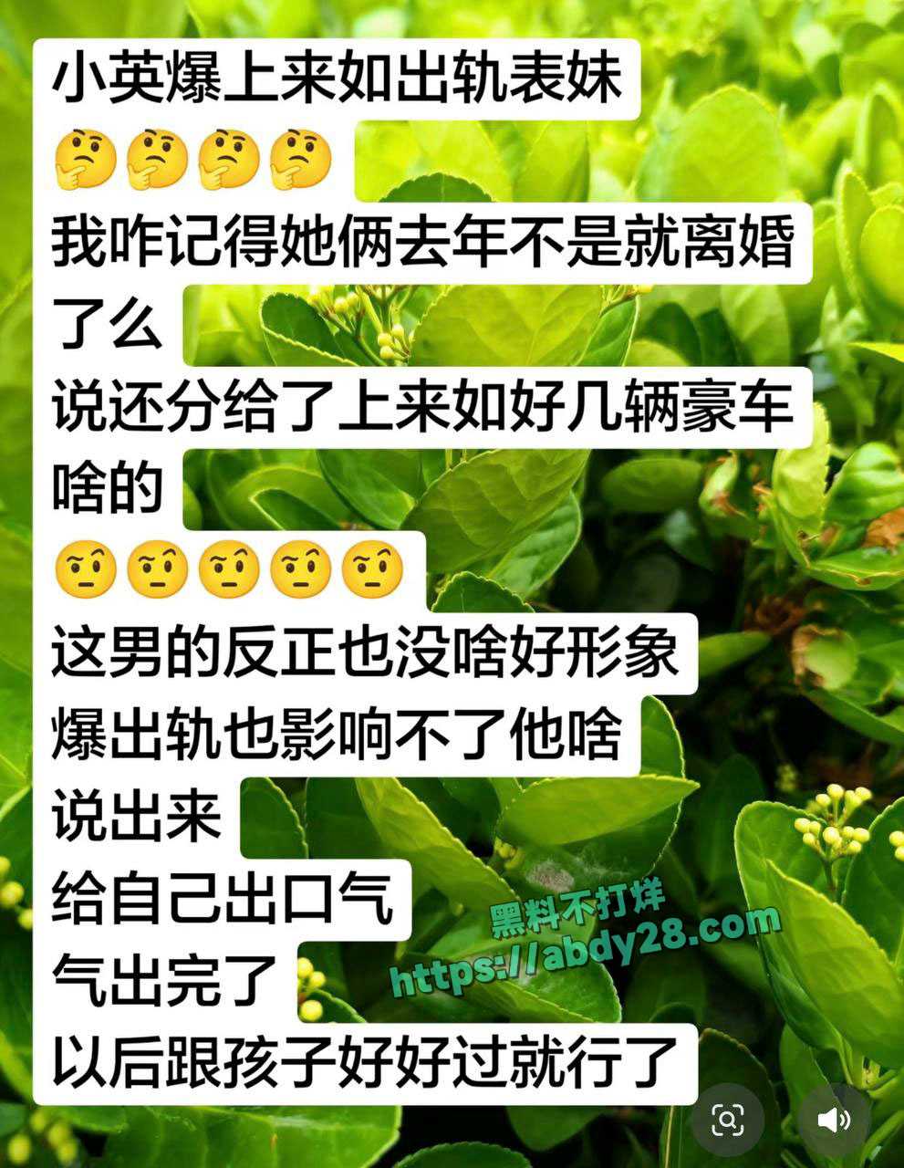 抖音网红小英曝老公上拉如出轨表妹 3