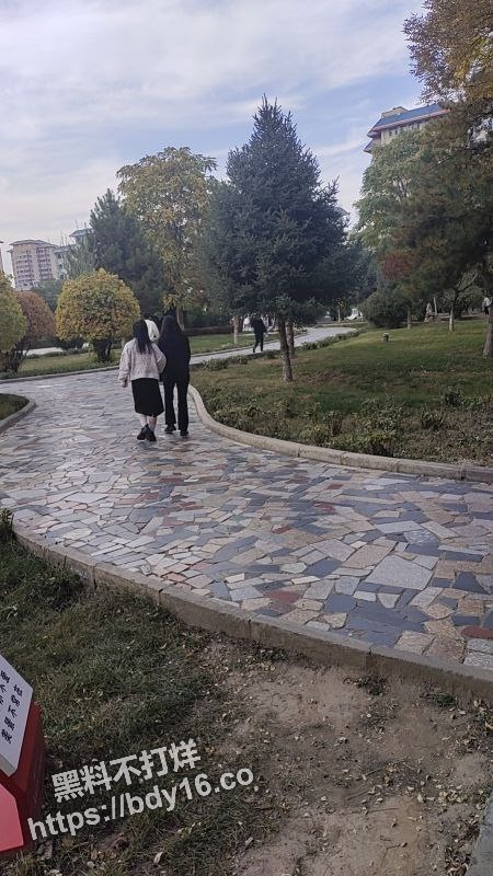 1 (20).jpg
