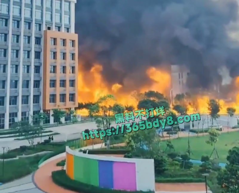 福清某化工厂火灾爆炸下水道全都一起炸开了9