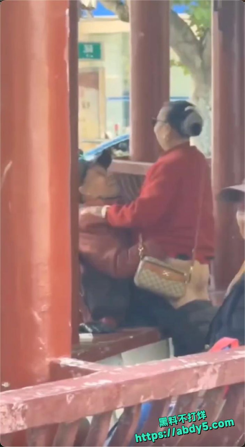 公园凉亭老登激情视频2
