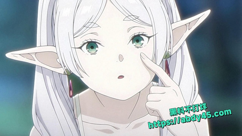 芙莉莲 11